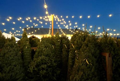 Gallery Image 593193083_1404566865013995_2503304469928216404_n.jpg