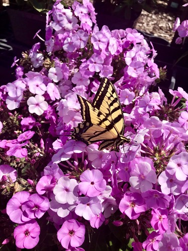 Gallery Image Photo_Jul_24._12_01_43_PM.jpg