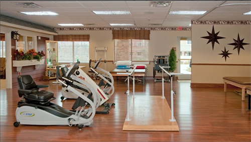 Therapy Gym