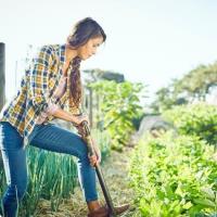 How Homesteaders Can Cash In on Their Hobby Farms