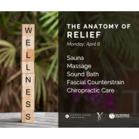 The Anatomy of Relief: A Wellness Showcase