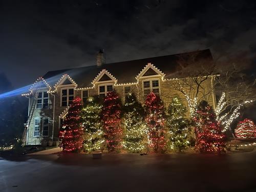 Holiday Trees