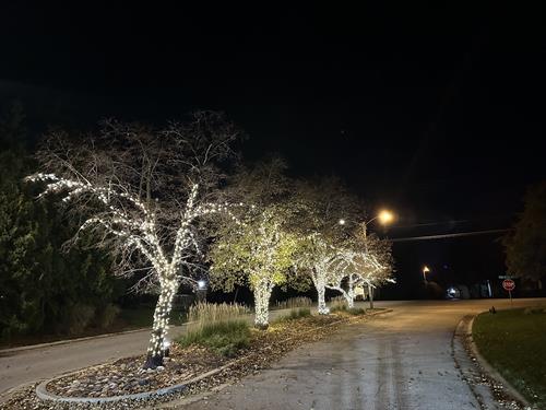 HOA Holiday Lighting 