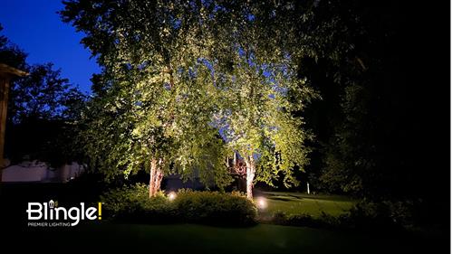 Landscape Lighting 