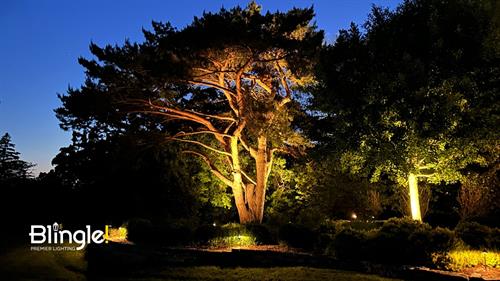Landscape Lighting 