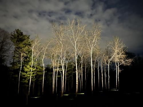 Landscape Lighting