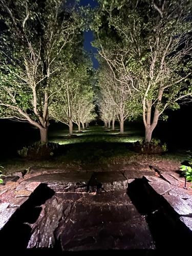 Landscape Lighting