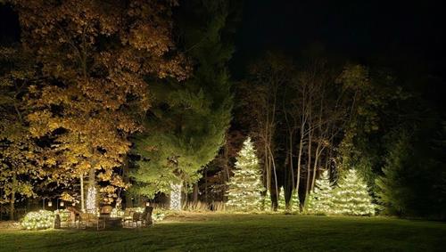 Holiday Trees