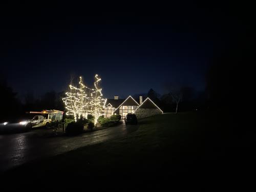 Holiday Lighting 