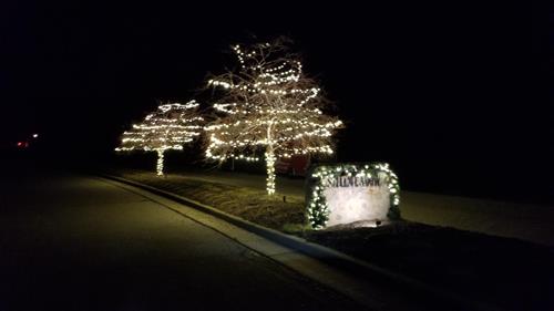 HOA Lighting 