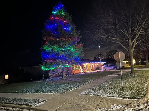 Holiday Lighting 