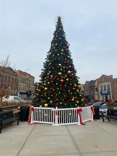 West Bend Tree