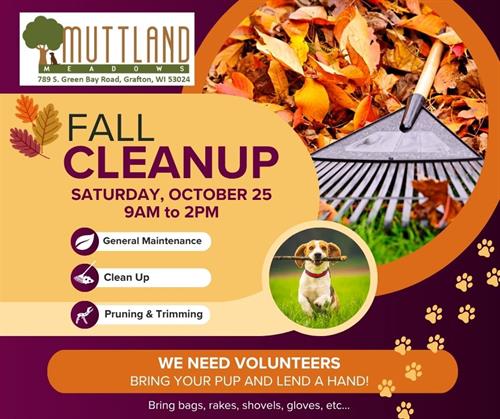 Gallery Image FB_Fall_Cleanup.jpg