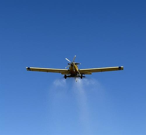 Gallery Image thumbnail_IMG_3809.jpg