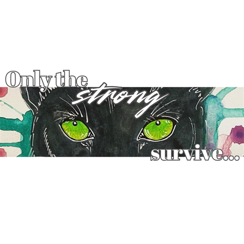 Gallery Image F.zip_-_2.png