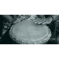 First Friday Drum Circle: Creating a Community Heartbeat