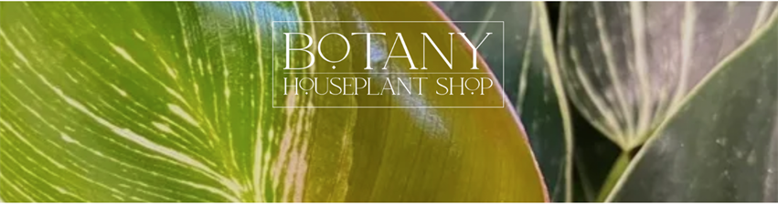 Botany Houseplant Shop
