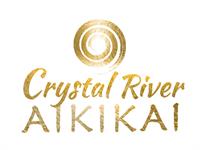 Aikido Martial Arts for Adults + Teens