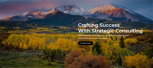 Patricia Pier Business Solutions LLC