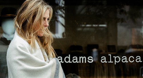 Gallery Image 1000x546px_2.jpeg