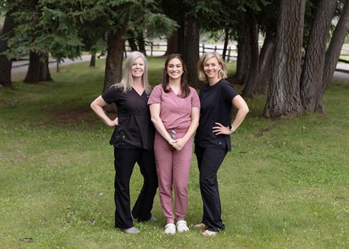 Dr Team