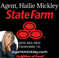 State Farm Insurance | Hailie Mickley