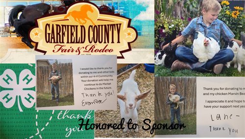 Gallery Image 1000003624.png