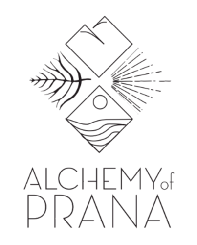 Logo Design: Alchemy of Prana