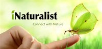 Nature ID Apps and How to Use
