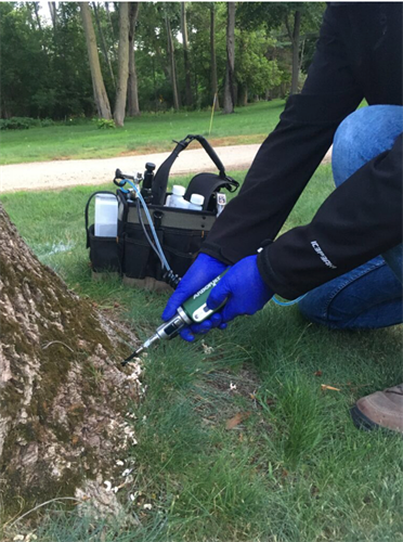 Call/text now for quick service.