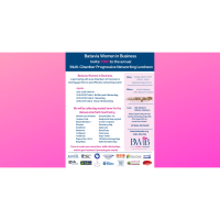 BWiB Multi-Chamber Progressive Networking Luncheon