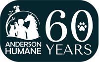 60 Years of Love Adoption Promotion