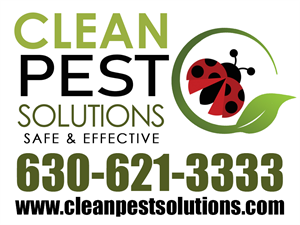 Clean Pest Solutions