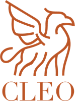 Cleo Coaching & Consulting