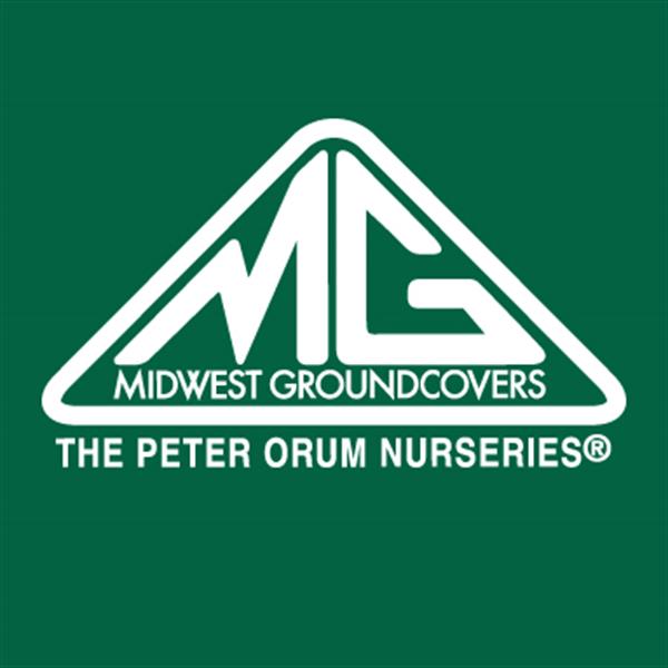 Midwest Groundcovers Midwest Groundcovers