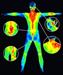 FREE Thermography Event