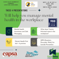 Lunch and Learn - Mental Health in the Workplace