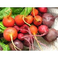 YORK WINTER FARMERS' MARKET 2019-2020 