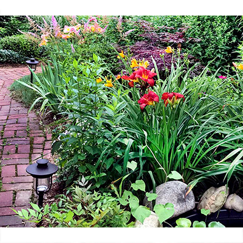 Gallery Image garden-path_copy.jpg Gallery Image garden-path_copy.jpg