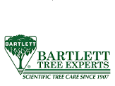 Tree Tips from Bartlett Tree Experts