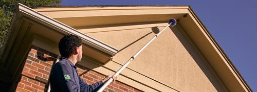 Gallery Image 251008_rose-E_0006_w.jpg