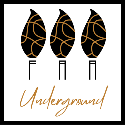 Underground, 20 S. White St, Frankfort