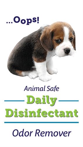 Pet Safe Odor Removal and Disinfection Pet Safe Odor Removal and Disinfection
