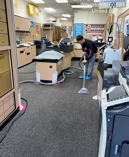 Professional carpet cleaning supporting healthier indoor environments.