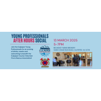 Young Professionals After Hours Social