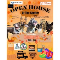 Open House at the Animal Shelter with Subaru Loves Pets