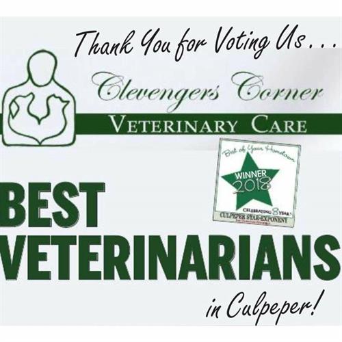 Regularly voted "best veterinarian" in the area