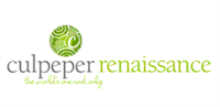 Culpeper Renaissance, Inc. Accepts Proposals for The Culpeper Downtown Power Box Mural Program