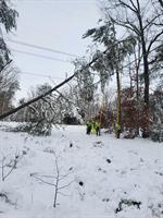 REC DOUBLES WORK FORCE TO BATTLE STORM-RELATED OUTAGES