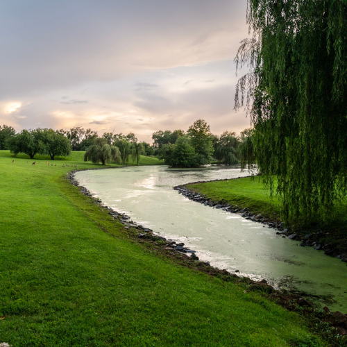 Gallery Image Pond.png Gallery Image Pond.png